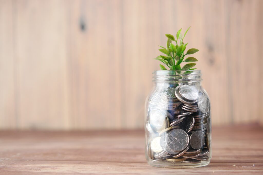 money grows